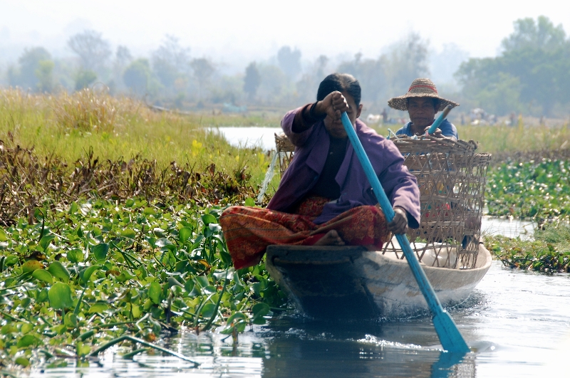 inle_20120309_443